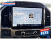 2022 Ford F-250 Platinum (Stk: NEE27800) in Sarnia - Image 17 of 26