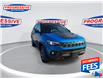 2022 Jeep Compass Trailhawk (Stk: NT191336) in Sarnia - Image 3 of 26