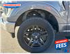 2022 Ford F-150 Lariat (Stk: NFA91620) in Sarnia - Image 11 of 25