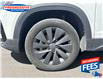 2024 Volkswagen Taos Comfortline (Stk: RM022559) in Sarnia - Image 11 of 22