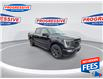 2021 Ford F-150 Lariat (Stk: MFC53848) in Sarnia - Image 3 of 25