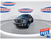 2022 Ford F-450 XL (Stk: NED81279) in Sarnia - Image 4 of 19