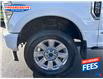 2022 Ford F-250 Platinum (Stk: NEE27800) in Sarnia - Image 11 of 26