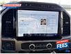 2022 Ford F-250 Platinum (Stk: NEE27800) in Sarnia - Image 17 of 26