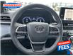 2025 Toyota Sienna LE 8-Passenger (Stk: SS195808P) in Sarnia - Image 15 of 24