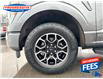 2022 Ford F-150 XLT (Stk: NFB69625) in Sarnia - Image 11 of 25