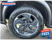 2025 Nissan Rogue SV Moonroof (Stk: SW410679) in Sarnia - Image 11 of 25