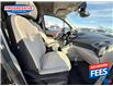 2021 Ford Transit Connect XLT (Stk: M1491839P) in Sarnia - Image 25 of 25