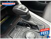 2019 Toyota RAV4 Limited (Stk: KW008646) in Sarnia - Image 21 of 26