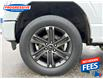 2021 Ford F-150 Lariat (Stk: MKE26786) in Sarnia - Image 11 of 24
