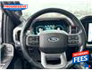 2021 Ford F-150 Lariat (Stk: MKE26786) in Sarnia - Image 14 of 24