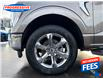 2022 Ford F-150 Lariat (Stk: NKE30366) in Sarnia - Image 11 of 25
