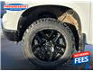 2022 Chevrolet Silverado 1500 Custom Trail Boss (Stk: NG524450P) in Sarnia - Image 3 of 13
