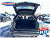 2019 Ford Edge Titanium (Stk: KBC28135) in Sarnia - Image 26 of 27