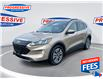 2020 Ford Escape SEL (Stk: LUC45823) in Sarnia - Image 1 of 25