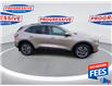 2020 Ford Escape SEL (Stk: LUC45823) in Sarnia - Image 10 of 25