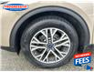 2020 Ford Escape SEL (Stk: LUC45823) in Sarnia - Image 11 of 25