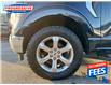 2022 Ford F-150 XLT (Stk: NFA55812) in Sarnia - Image 11 of 25