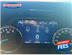 2021 Ford F-150 XLT (Stk: MKE50027) in Sarnia - Image 16 of 25