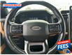 2022 Ford Expedition Platinum (Stk: NEA39222) in Sarnia - Image 15 of 27