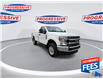 2022 Ford F-250 XLT (Stk: NEC52939) in Sarnia - Image 3 of 23