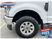 2022 Ford F-250 XLT (Stk: NEC52939) in Sarnia - Image 11 of 23