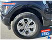 2022 Ford F-150 Platinum (Stk: NFA37404) in Sarnia - Image 11 of 26