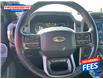 2022 Ford F-150 Platinum (Stk: NFA37404) in Sarnia - Image 15 of 26