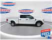 2022 Ford F-150 XLT (Stk: NFA37862) in Sarnia - Image 10 of 25