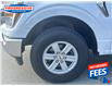 2022 Ford F-150 XLT (Stk: NFA37862) in Sarnia - Image 11 of 25