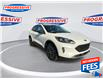 2022 Ford Escape PHEV SE (Stk: NUA76130) in Sarnia - Image 3 of 24