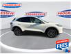 2022 Ford Escape PHEV SE (Stk: NUA76130) in Sarnia - Image 10 of 24
