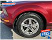 2007 Ford Mustang V6 (Stk: 75354796T) in Sarnia - Image 11 of 24