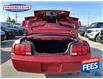 2007 Ford Mustang V6 (Stk: 75354796T) in Sarnia - Image 23 of 24