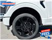 2022 Ford F-150 XLT (Stk: NFB16925) in Sarnia - Image 11 of 20