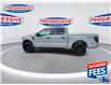 2024 Ford F-150 STX (Stk: RKE78381P) in Sarnia - Image 6 of 25