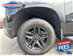 2022 Chevrolet Silverado 1500 LTD Custom Trail Boss (Stk: NG107868) in Sarnia - Image 11 of 25