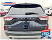 2021 Ford Escape SEL Hybrid (Stk: MUA88116P) in Sarnia - Image 23 of 25 2021 Ford Escape SEL Hybrid (Stk: MUA88116P) in Sarnia - Image 23 of 25