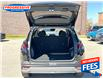 2026 Hyundai Tucson Preferred (Stk: TE034162) in Sarnia - Image 18 of 19