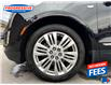 2019 Cadillac XT5 Premium Luxury (Stk: KZ264603) in Sarnia - Image 11 of 26