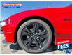 2014 Ford Mustang GT (Stk: E5215899T) in Sarnia - Image 11 of 25 2014 Ford Mustang GT (Stk: E5215899T) in Sarnia - Image 11 of 25