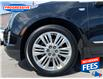 2019 Cadillac XT5 Premium Luxury (Stk: KZ264603) in Sarnia - Image 11 of 26