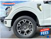 2024 Ford F-150 STX (Stk: RFA54174) in Sarnia - Image 11 of 25