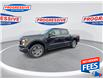 2023 Ford F-150 XL (Stk: PKF31813) in Sarnia - Image 5 of 25