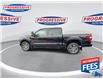 2023 Ford F-150 XL (Stk: PKF31813) in Sarnia - Image 6 of 25