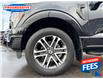 2023 Ford F-150 XL (Stk: PKF31813) in Sarnia - Image 11 of 25