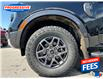 2024 Ford Ranger XLT (Stk: RLE05160) in Sarnia - Image 11 of 25