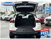 2024 Chevrolet TrailBlazer LS (Stk: RB114798) in Sarnia - Image 23 of 24