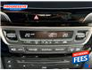 2022 Honda Pilot Black Edition (Stk: NB500811) in Sarnia - Image 20 of 27