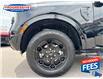 2025 Ford Ranger XLT (Stk: SLE03843) in Sarnia - Image 11 of 25